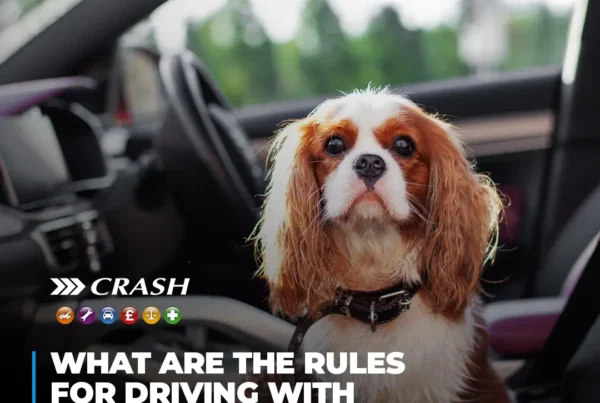 Driving with Dogs: Highway Code Rules and Safety Tips for Pet Owners